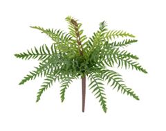 PLANTA ARTIFICIAL SAMAMBAIA C/POWDER VERDE 30CM FLORARTE