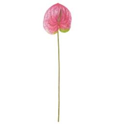 PLANTA ARTIFICIAL ANTURIO ROSA/VERDE 60CM FLORARTE