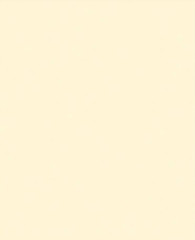 REVESTIMENTO 37X59A NATURALLE BEIGE PLUS RAVELLO C/2,40M²